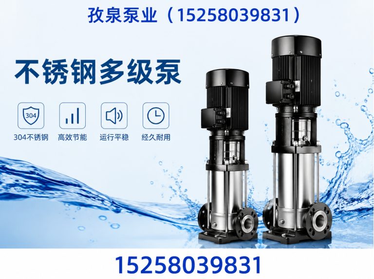 泰顺县立式多级离心泵展示图